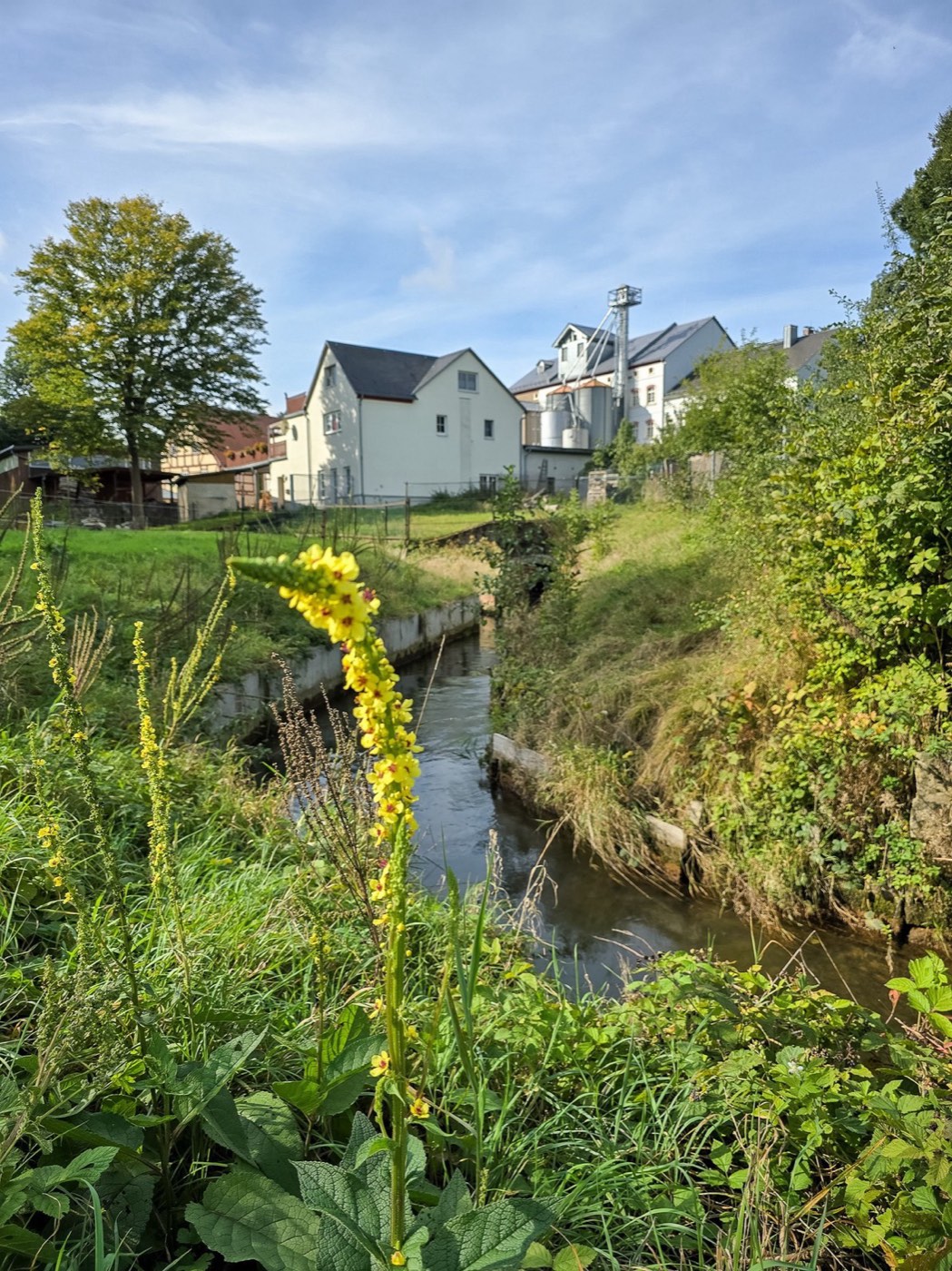 Innenansicht der Mühle Miltitz – Mahlwerk und Maschinen