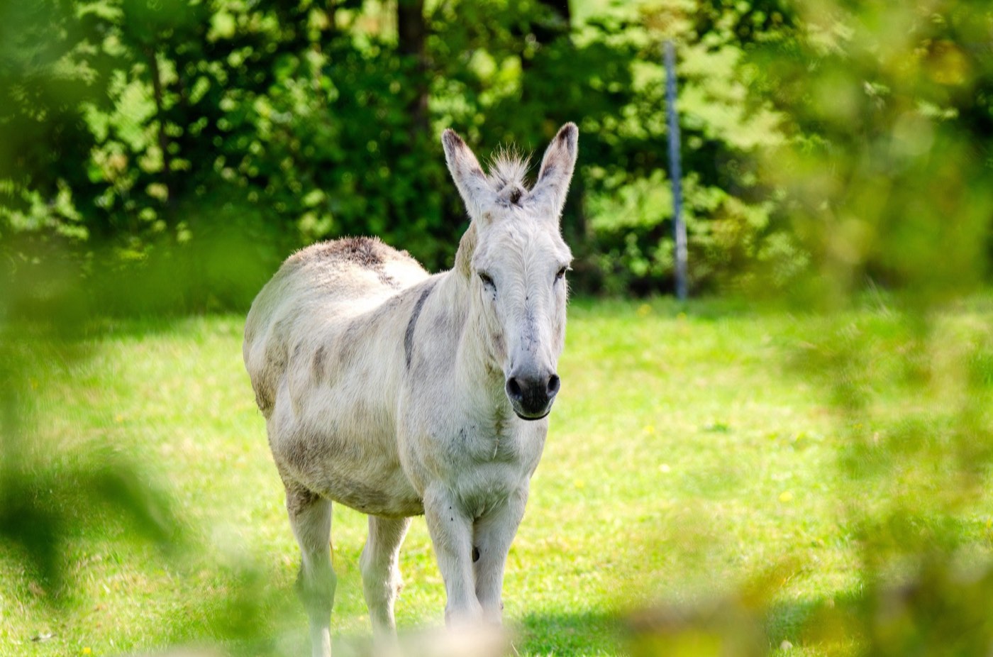 Mühle Miltitz im Triebischtal bei Klipphausen – Außenansicht und Umgebung