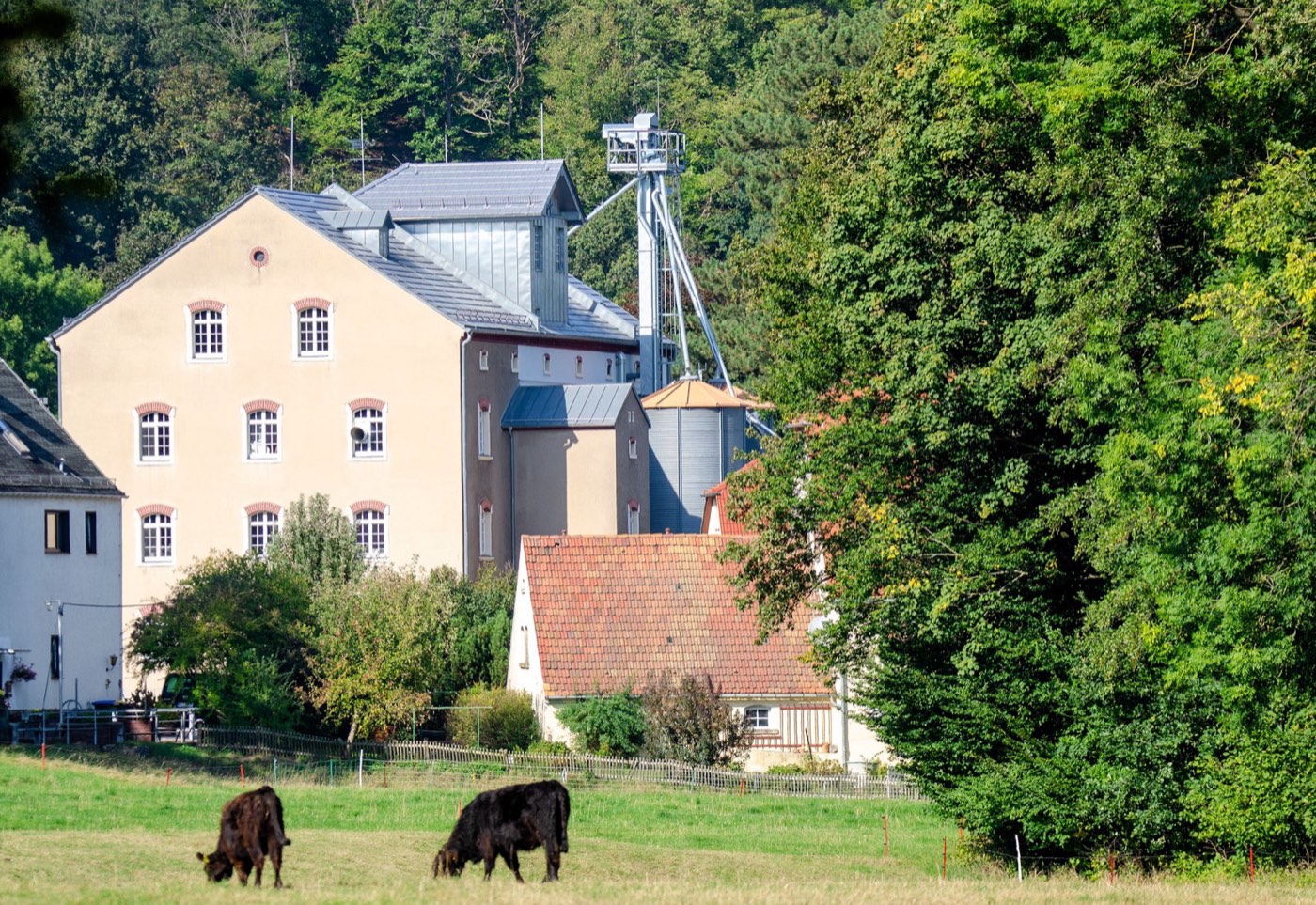 Einblick in die Mehlproduktion während einer Mühlenführung bei Meißen
